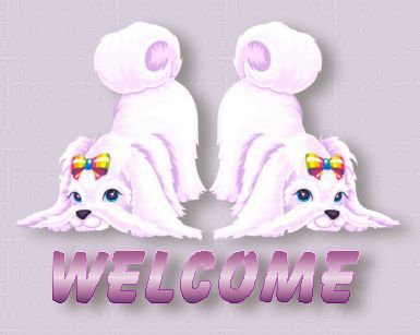 54955xcitefun-welcom.jpg