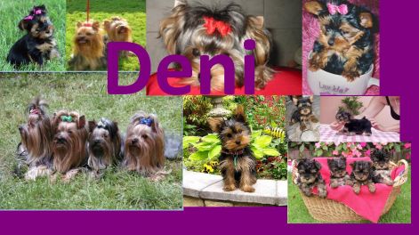 denke.jpg denke.jpg